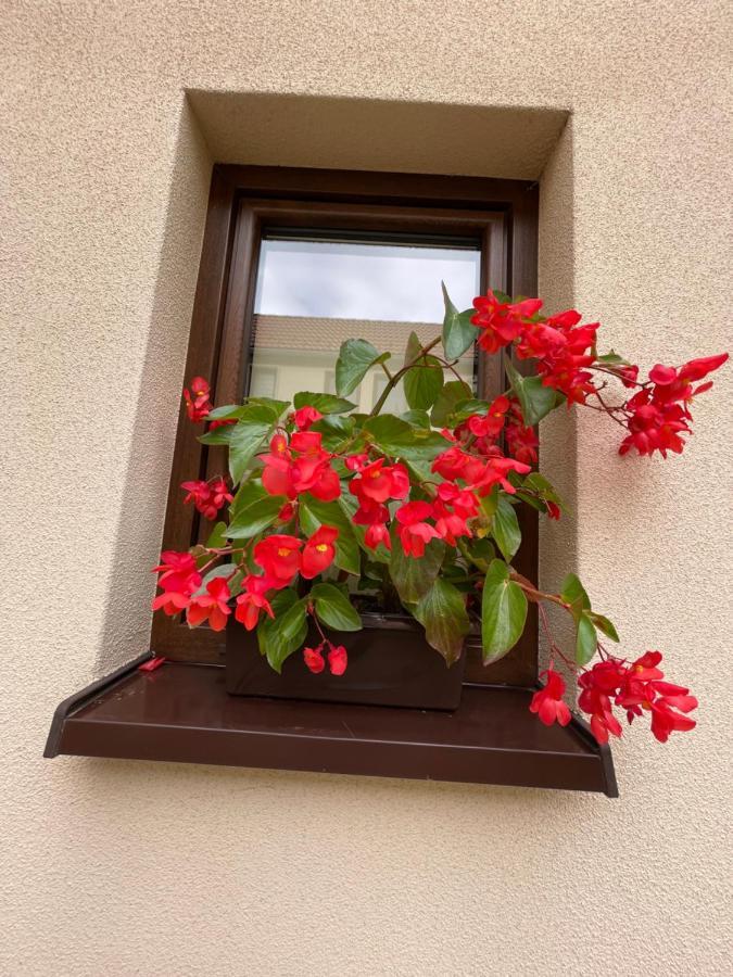 Sloneczne Apartamenty 波兰尼卡-兹德鲁伊 外观 照片