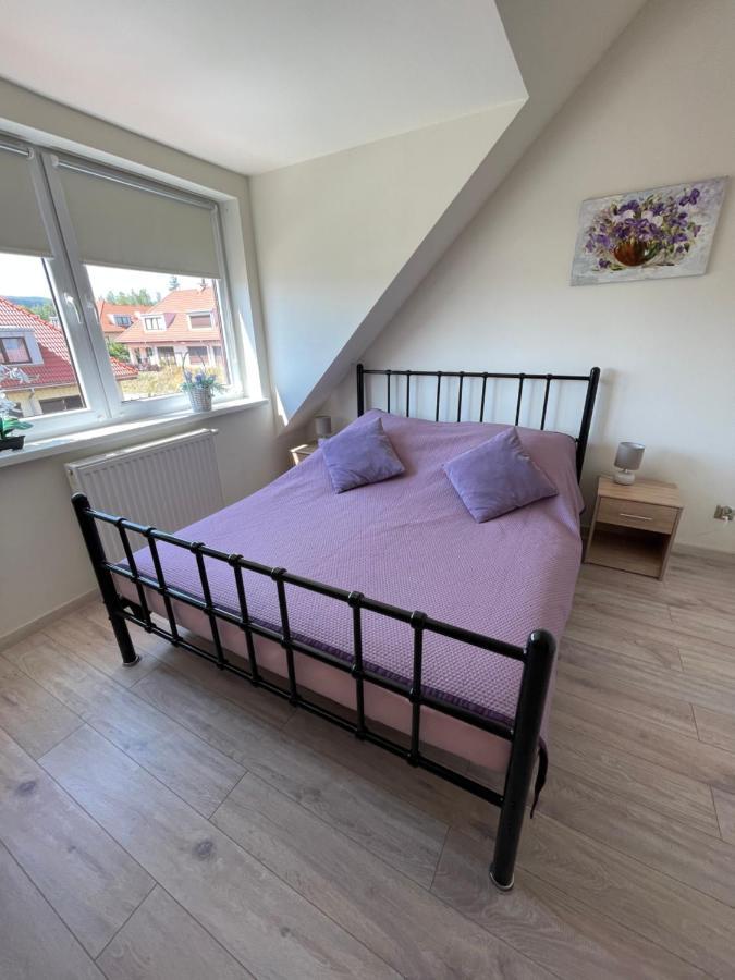 Sloneczne Apartamenty 波兰尼卡-兹德鲁伊 外观 照片